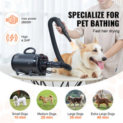 Bild in Galerie-Viewer laden, Amocart 2000W/2.7HP Dog Blow Dryer Adjustable Speed Temperature Control with 4 Nozzle and Extendable Hose for Pet Hair Grooming