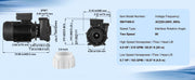 Bild in Galerie-Viewer laden, Amocart 2 Speed SPA Pump 48/56-Frame AC110-120V SPA Pump 1.5HP/3HP/4HP High Speed 2'' Port 90° Rotational Interface for Hot Tub