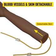 Bild in Galerie-Viewer laden, Amocart Intravenous Practice Arm Kit PVC High Simulation Nurse Blood Drawing Practice Injection Model Arms Medical Kit School