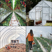 Bild in Galerie-Viewer laden, Amocart Agricultural Greenhouse Film Clear Plastic Farm Crops Vegetable Cover UV Resistant Polyethylene Covering Plants Flowers
