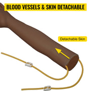Bild in Galerie-Viewer laden, Amocart Intravenous Practice Arm Kit PVC High Simulation Nurse Blood Drawing Practice Injection Model Arms Medical Kit School
