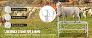 Charger l'image dans la visionneuse de galerie, Amocart Goat Sheep Stand 51x23in Livestock Stand Metal Livestock Milking and Shearing Stand 21" to 33" Adjustable Height White
