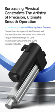Load image into Gallery viewer, DC 12V 24V Linear Actuators Electric Motor 2500N Heavy-Duty Actuator Lift 30-1000mm Stroke Length For Massage Care Bed
