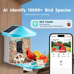 Amocart Smart Bird Feeder with Camera 2KHD AI Identify 10000+ Bird Species Solar-Powered Bird Watching Camera with Auto Capture