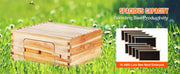 Load image into Gallery viewer, Amocart Bee Hive Deep Box Starter Kit 100% Beeswax Coated Natural Cedar Wood Langstroth Beehive Kit Transparent Acrylic
