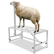 Charger l'image dans la visionneuse de galerie, Amocart Goat Sheep Stand 51x23in Livestock Stand Metal Livestock Milking and Shearing Stand 21" to 33" Adjustable Height White
