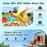 Amocart Smart Bird Feeder with Camera 2KHD AI Identify 10000+ Bird Species Solar-Powered Bird Watching Camera with Auto Capture