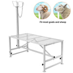 SucceBuy Goat & Sheep Stand 51x23 in Livestock Stand Metal Livestock Milking  Shearing Stand 21" to 33" Adjustable Height  White