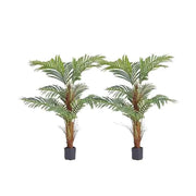 Charger l'image dans la visionneuse de galerie, Amocart Artificial Palm Tree 4/5/6 FT Faux Plant Secure PE Material &amp; Anti-Tip Tilt Protection Low-Maintenance Plant for Home
