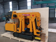 Load image into Gallery viewer, Customized Crawler Telescopic Boom Spider Crane with Hydraulic Remote Control，with Long Arm Fly Jib
