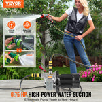 SucceBuy Shallow Well Jet Pump 115Volt Cast Iron/Stainless Steel Irrigation Water Pump for Agricultural Garden Irrigation System