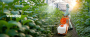 Load image into Gallery viewer, Amocart Battery Powered 15 Gal Garden Weed Sprayer with Wheeled Cart 126FT Hose with Reel 8 Nozzles 2 Wands with Lock for Crop
