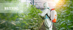 SucceBuy Battery Powered Backpack Sprayer Adjustable Pressure 4 Gallon Tank with 8/6Nozzles 2Wands for Weeding Spraying Cleaning