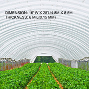 Bild in Galerie-Viewer laden, Amocart Agricultural Greenhouse Film Clear Plastic Farm Crops Vegetable Cover UV Resistant Polyethylene Covering Plants Flowers
