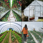 Bild in Galerie-Viewer laden, Amocart Agricultural Greenhouse Film Clear Plastic Farm Crops Vegetable Cover UV Resistant Polyethylene Covering Plants Flowers
