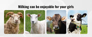 Bild in Galerie-Viewer laden, Amocart Goat Milking Machine Stainless Steel Bucket Electric Automatic Pulsation Cup Tubes Adjustable Suction for Cow and Sheep
