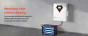 Charger l'image dans la visionneuse de galerie, Amocart Hybrid Solar Inverter 3500W/6000W 24V DC to Single-Phase 220/230V AC, Built-in 100A MPPT Solar Controller for Off-Grid

